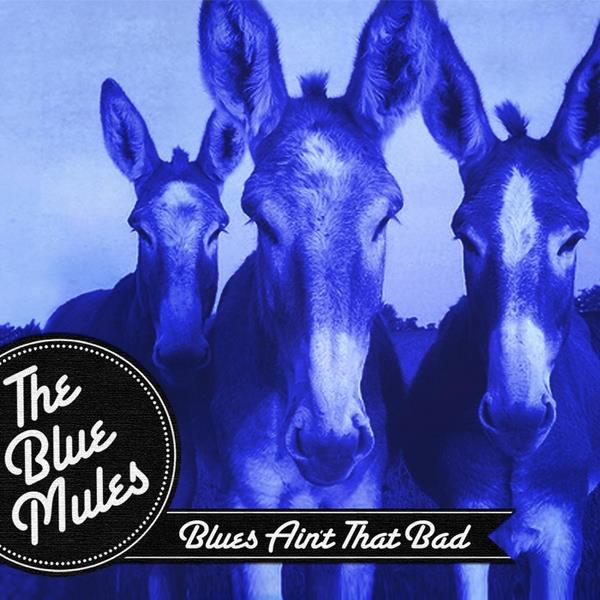royal blue mules